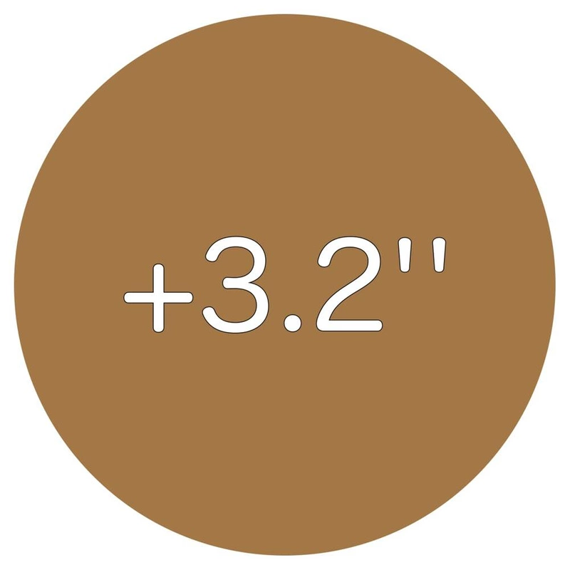 3.2 INCHES
